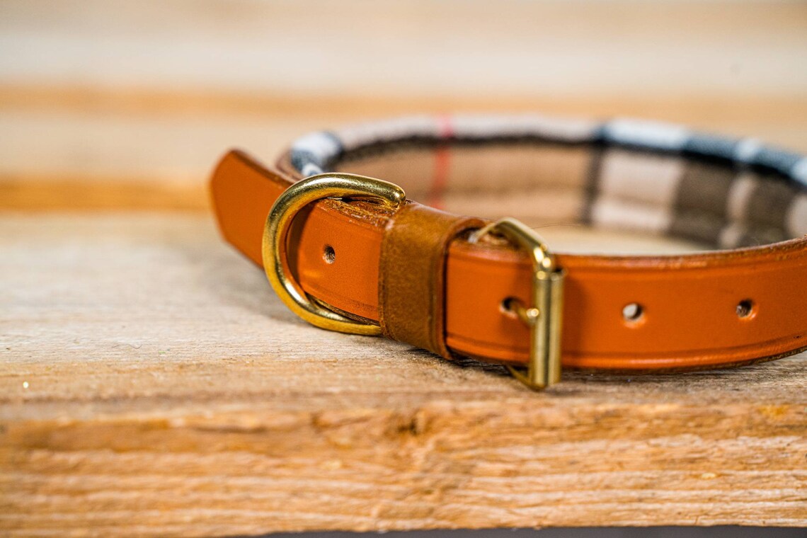 Burberry Dog Collar Tan Leather Traditional Tartan Etsy