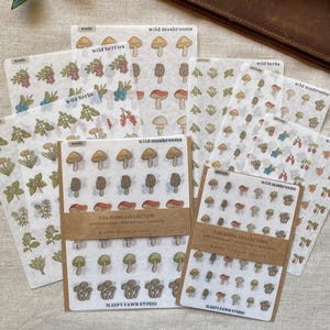 Peut inclure: Plusieurs feuilles d'autocollants en papier washi avec des illustrations de champignons sauvages, de baies et d'herbes. Les autocollants sont de différentes couleurs et motifs, avec le texte "wild mushrooms", "wild berries" et "wild herbs". Les autocollants sont de la "Foraging Collection".