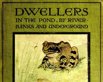 Pond River Nature Study Book Dwellers in the pond, by river banks, and underground Theodor Wood 1908 PDF Homeschool Living Books Library