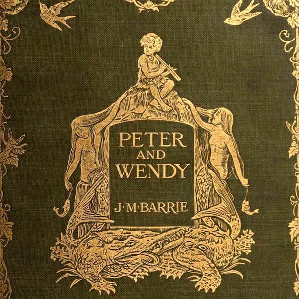 Peter Pan and Wendy by J M Barrie Illustrated Book First Edition 1911 PDF digital download Bedtime Story Fairy Tale The Living Books Library