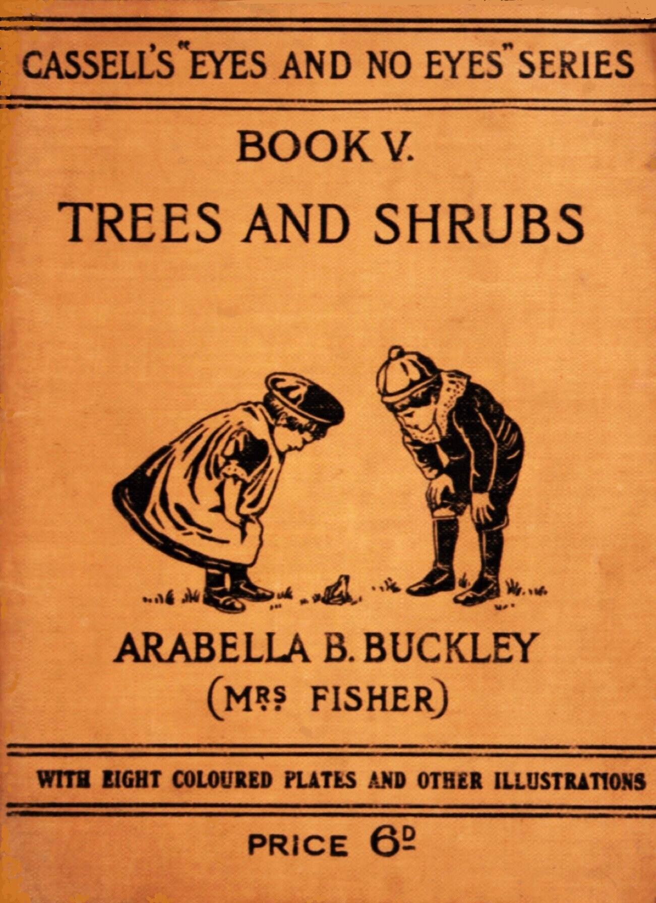 Trees and Shrubs by Arabella Buckley Book 5 Eyes and No Eyes Etsy