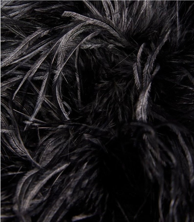 Black Ostrich Feather Jacket image 3