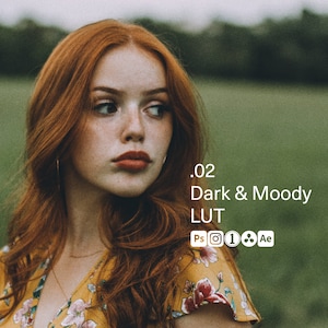 Dark & Moody LUT - Film Luts, Photoshop Luts, Luts Premiere Pro, Cinematic Luts, Vintage Lut, Film Look Luts, Luts Photography, Lut Video