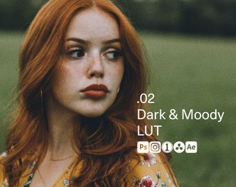 Dark & Moody Cinematic LUT's: filmlook, Photoshop, Premiere Pro