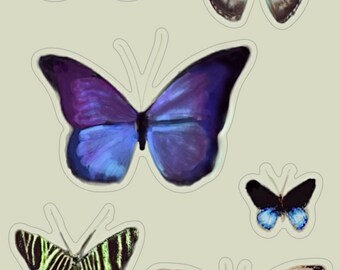 Butterfly sticker sheet