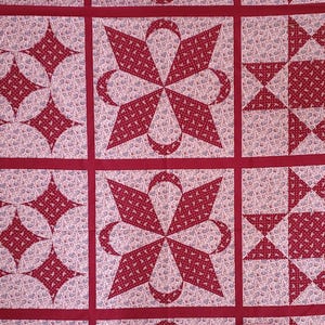 Quilters Vintage Cheater fabric, by the yard, Cheater quilt top