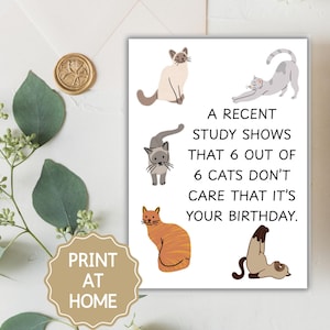 Carte d'anniversaire pour les amoureux des chats Carte d'anniversaire à imprimer avec un chat drôle Carte d'anniversaire avec chat grossier Carte d'anniversaire avec humour sec pour les propriétaires de chat