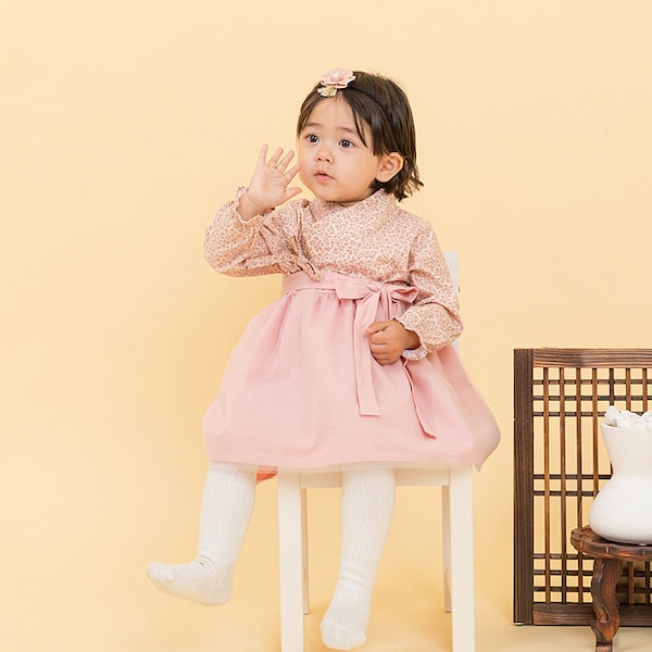 Tini Everly traditionnel coréen tenue de tous les jours robe en coton Hanbok pour les filles