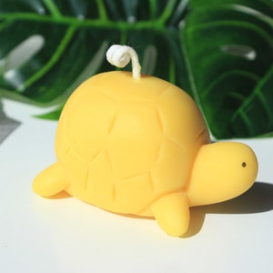 Cute Turtle Candles / Hand-poured, Unique, Scented Soy Wax, Home Decor ...