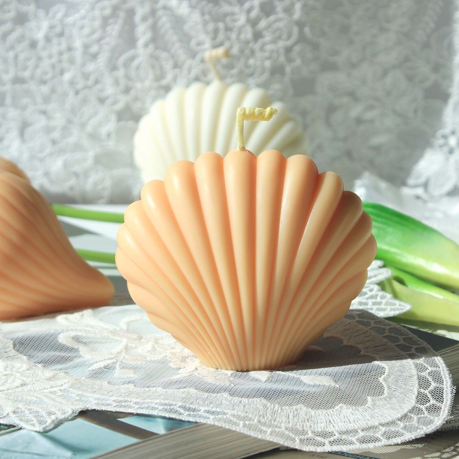 Seashell Candle 6 Colours HandPoured Unique Gift Soy Etsy