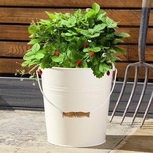 Ivory White Bucket Planter Vintage Metal Barrel Flower Pot Planter with Handle Hand Made Recycled Iron Garden Flower Pot