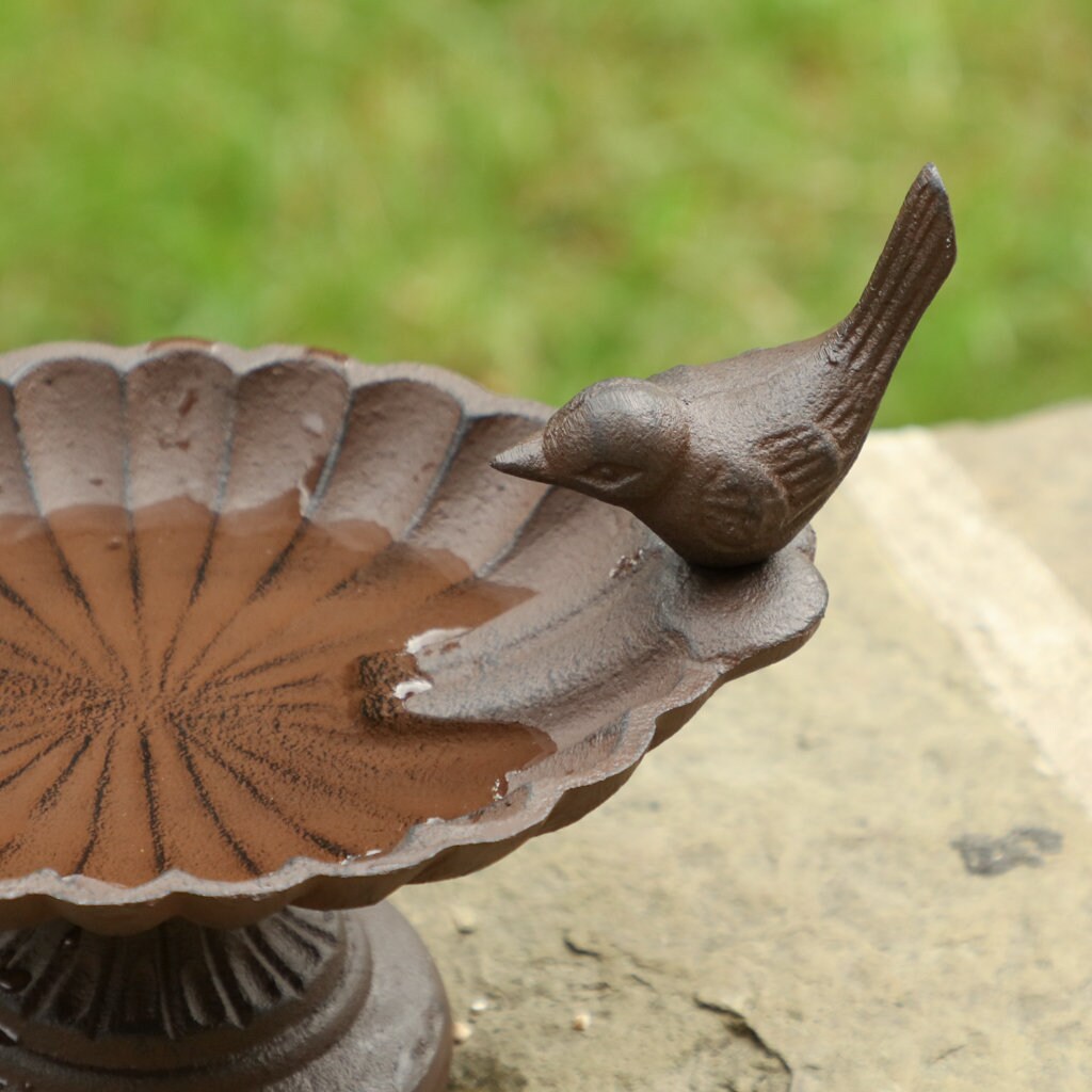 Cast Iron Bird Bath Freestanding Antique Brown Bird Dish Seed Etsy