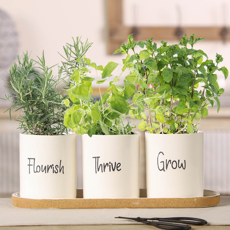 Set of 3 Herb Pots With Tray White Ceramic Kitchen Windowsill Etsy UK