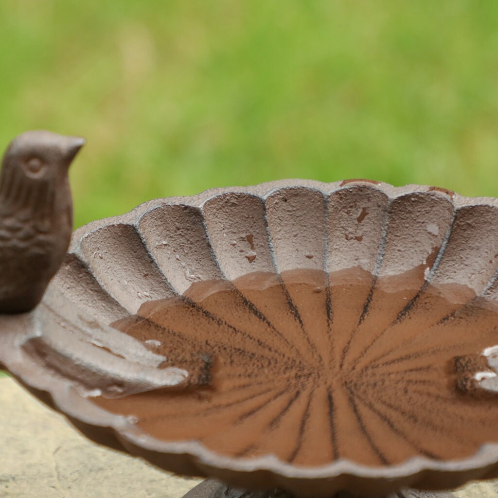 Cast Iron Bird Bath Freestanding Antique Brown Bird Dish Seed Etsy UK