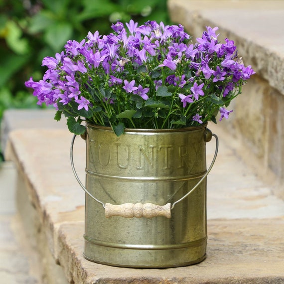 Rustic Grey Metal Plant Pot Bucket Herbs Flowers Garden Square Zinc Planter 