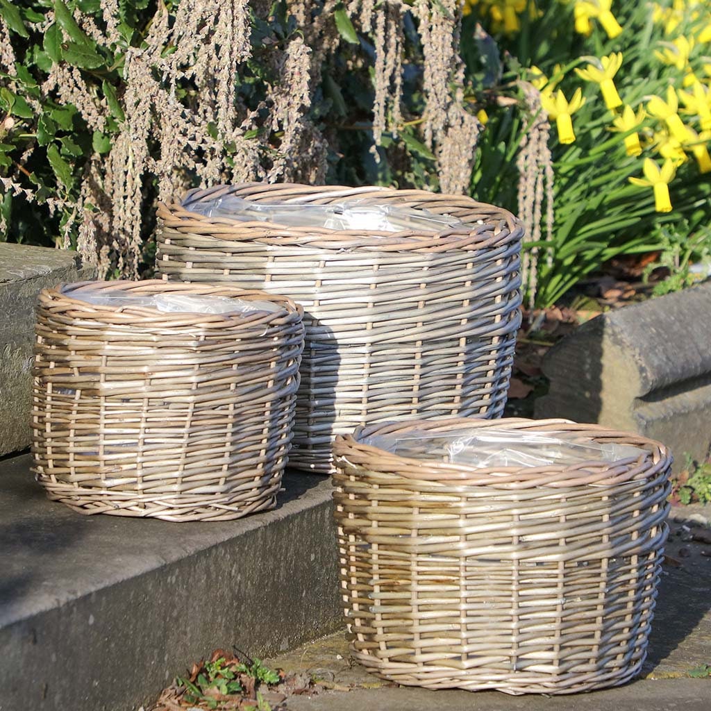 Juvale Seagrass - Juego de macetas de interior con forro de plástico, 3  pequeñas cestas de mimbre tejidas para plantas, flores (3 tamaños)