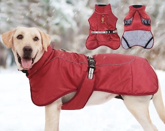 dog halloween costumes xxl