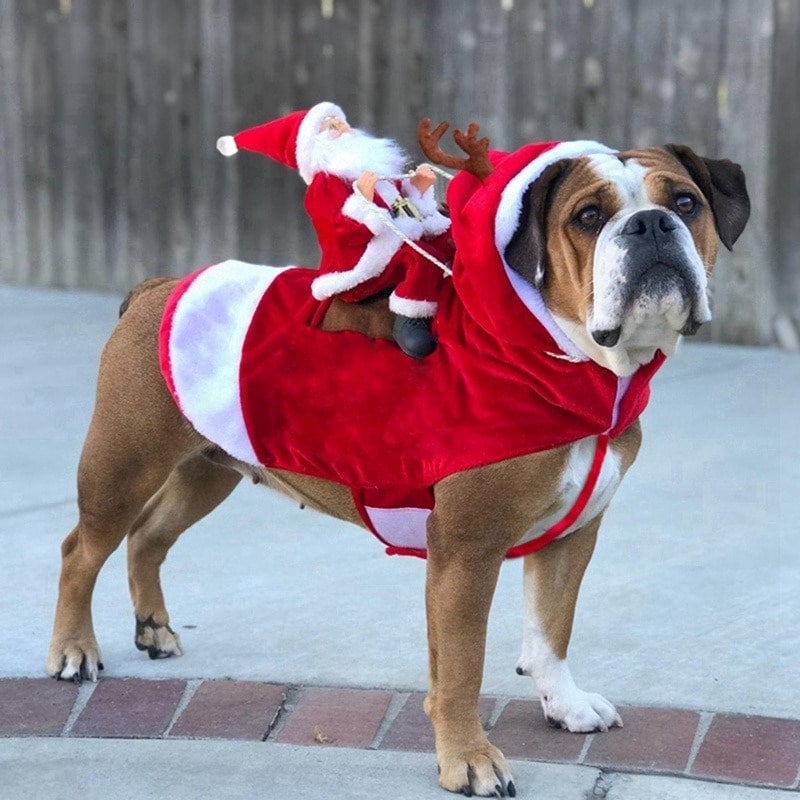 Halloween/Christmas Funny Pet Dog/Cat Santa Claus Carry Christmas Present  Costume Pet Dog Party Jumpsuit Clothes