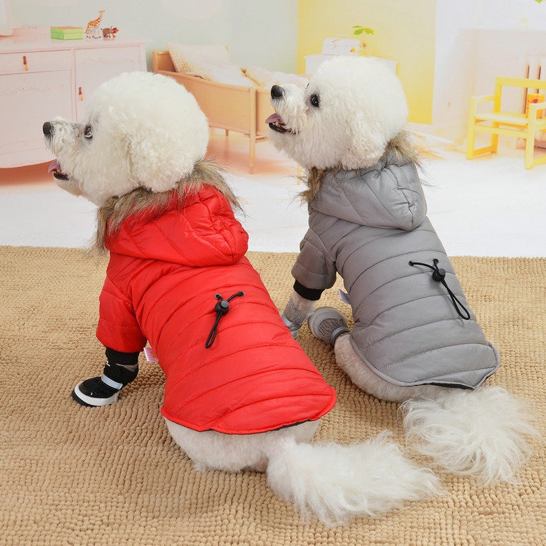 Cute Autumn Winter Puppy Jacket Warm Pet Clothing Small Etsy