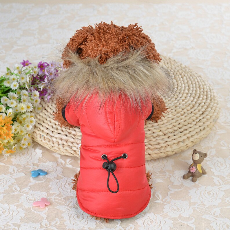 Cute Autumn Winter Puppy Jacket Warm Pet Clothing Small Etsy