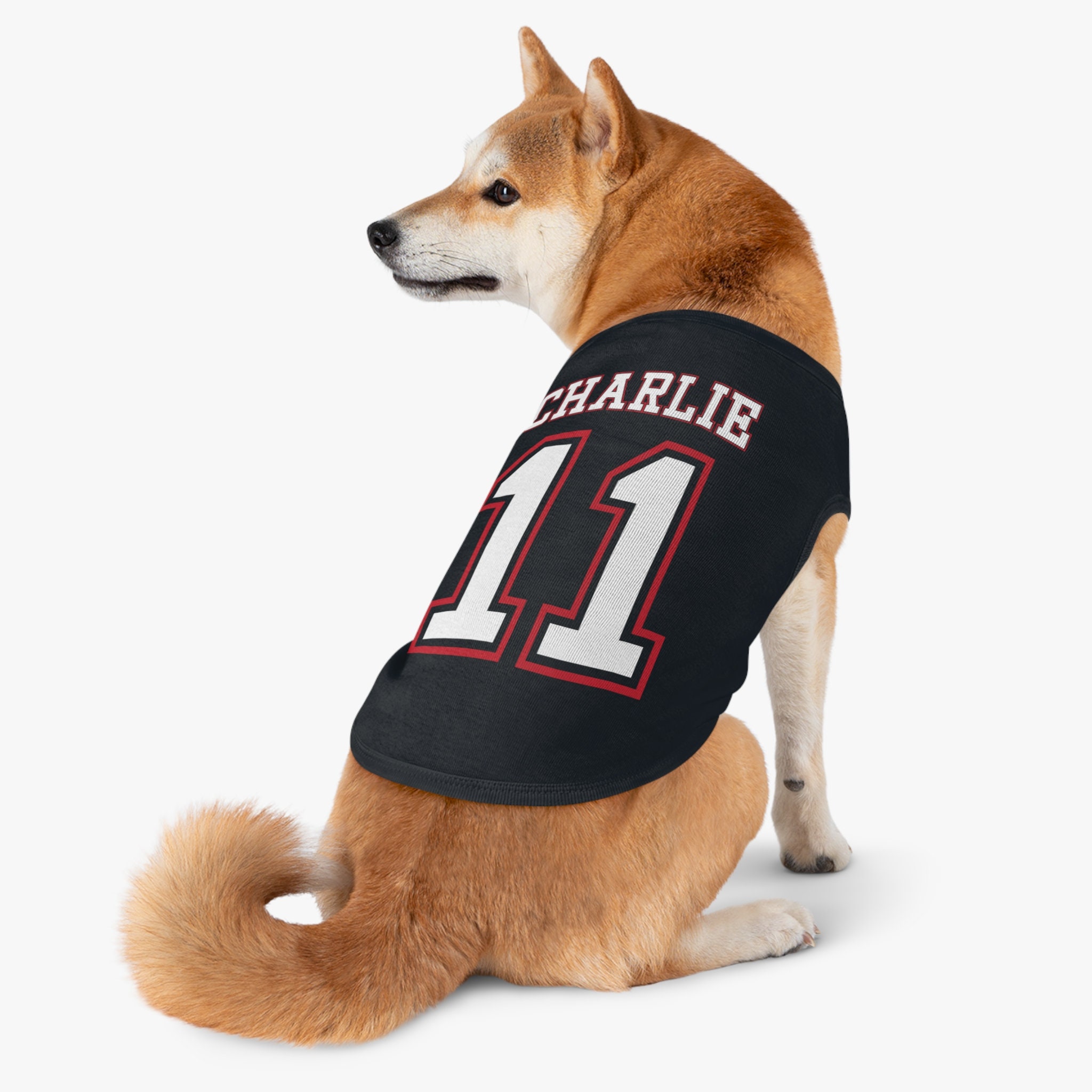 Personalized Name Sports Dog Jersey Customized Football Dog 