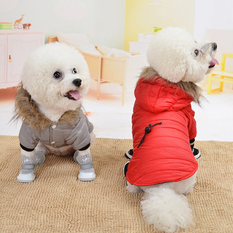 Cute Autumn Winter Puppy Jacket Warm Pet Clothing Small Etsy