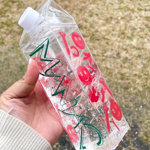 StrayKids Maniac Milk Carton Cup, Straykids Water Bottle, Color Changing Cup