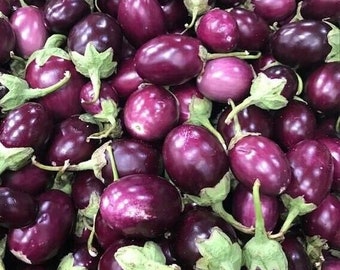 40 Seeds Mini Round Purple Patio Eggplant Fresh Seeds, USA