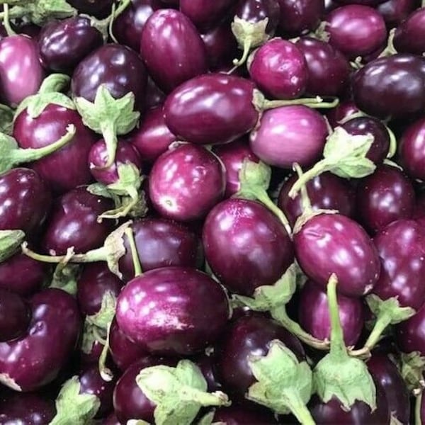 40 Seeds Mini Round Purple Patio Eggplant Fresh Seeds, USA