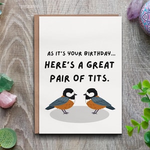 Carte d'anniversaire oiseau mésange drôle - voeux hilarant pour lui cadeau fantaisie parfait