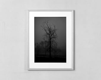 Impresión de silueta de árbol oscuro y melancólico, fotografía de naturaleza en blanco y negro, arte de pared imprimible de gran tamaño