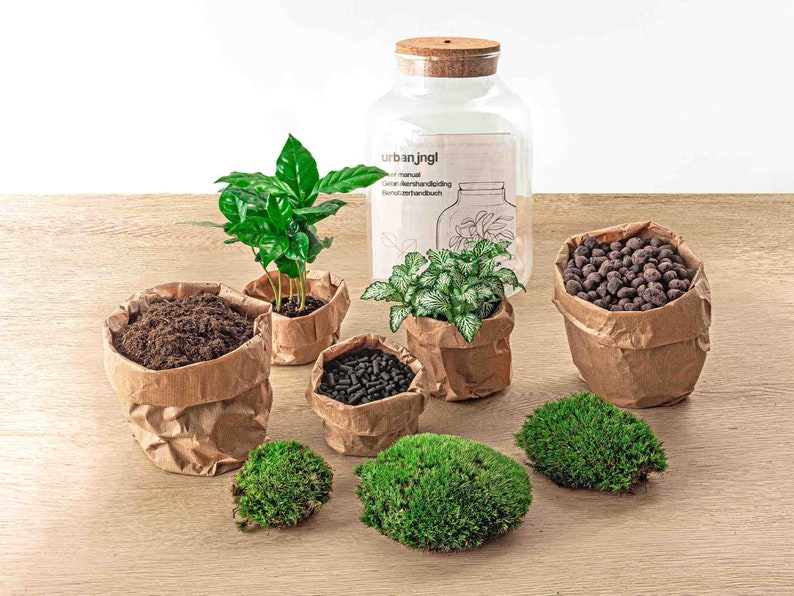Terrarium DIY Kit Little Milky Bonsai Led light Ecosystem with plants 25 cm image 6