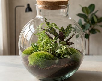 Flaschengarten -  Bolder Bob - Pflanzenterrarium mit Pflanzen im Glas - ↑ 30 cm - DIY terrarium set - Mit Lampe (Licht)