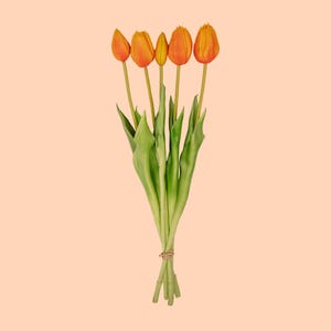 Può includere: Un mazzo di cinque tulipani arancioni con foglie verdi legati insieme con uno spago.