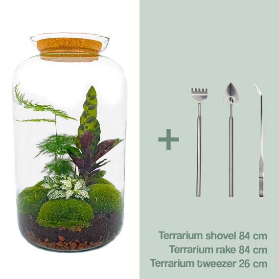 DIY Terrarium Kit With Silver Soil Scoop Build Your Own Terrarium Small  Starter Terrarium Kit Lovely Terrarium Supplies Gift Idea -  Sweden