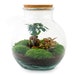 see more listings in the Terrarien-Kits section