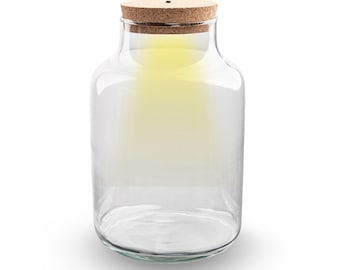 Terrarium bottle 'Milky' with LED-lighting - Closed terrarium Ø 21 cm ↑ 30 cm