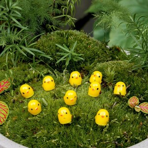 Chick Class - Deko Mini Küken - Gelb - 10er-Set - ↑ 1 cm