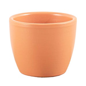 Könnte beinhalten: Ein runder Topf aus Terrakotta-Keramik. Der Topf ist ideal für kleine Pflanzen oder Sukkulenten.