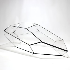 Peut inclure: Un terrarium géométrique transparent avec des bordures noires. La structure transparente est composée de multiples facettes, créant une forme angulaire unique. Le terrarium est conçu pour abriter des plantes ou d'autres objets décoratifs.