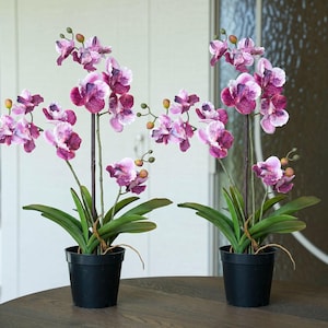 Könnte beinhalten: Zwei künstliche Orchideen in schwarzen Töpfen. Die Orchideen haben lila und weiße Blüten mit grünen Blättern. Die Pflanzen stehen auf einem dunkelbraunen Tisch.