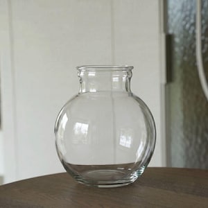 Può includere: Un vaso in vetro trasparente con corpo sferico e collo corto e largo. Il recipiente presenta una superficie liscia e trasparente con una base arrotondata, progettato con una silhouette semplice e funzionale per vedere attraverso.