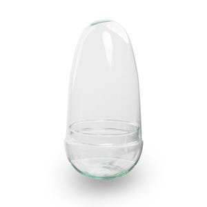 Terrariumflaska 'Ägg' – Tvådelad glaskupa – Slutet terrarium Ø 12 cm ↑ 25 cm
