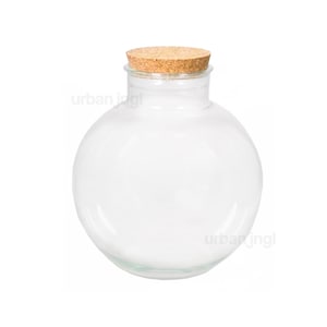 Gesloten terrariumcontainer met kurk • ↑ 26,5 cm / Ø 25 cm • &#39;Teddy&#39; • Ronde glazen pot • Zelfgemaakt terrarium • Glas • Kurkendeksel - urbanjngl.com
