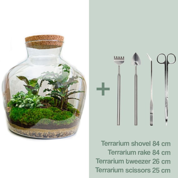 Kit bouteille terrarium 5 L à faire soi-même DIY