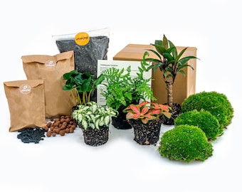 Accessoires plantes