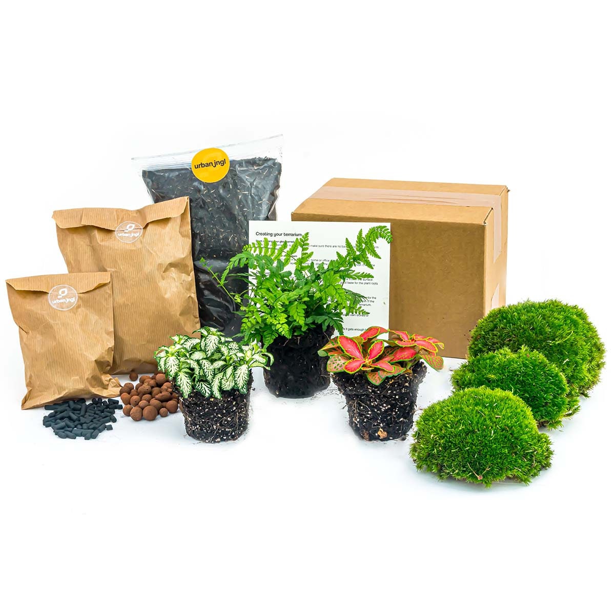 Flaschengarten Paket Farn - 3 Pflanzen - Nachfll & Starterpaket DIY -  Pflanzenterrarium Nachfllset - Etsy.de