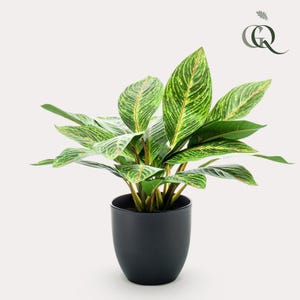 Croton Codiaeum - Miracle Shrub - 38 cm - Artificial plant