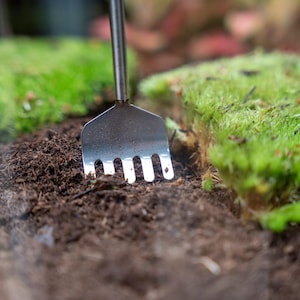 Terrarium Tool - Rake - 16-49 cm - Telescopic - Stainless Steel