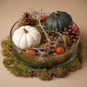 Può includere: Una ciotola di vetro trasparente riempita con muschio verde, una zucca bianca, una zucca verde scuro, piccole zucche arancioni, pigne marroni e ramoscelli spogli. L'insieme crea una composizione stagionale di elementi naturali.